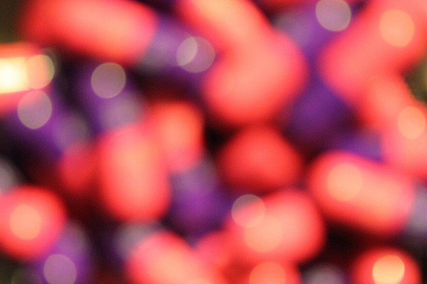 4038055695_4e78dc1a82_z.jpg