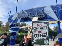 Workers stand in front of an entrance to Disneyland, which has a big sign with the park's name in blue. In front of that, a person holds a green and white sign that reads: "No Contract? No Coffee!"