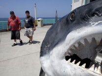 Tourists walk past a fake great white shark on display at the Manhattan Beach Pier. A white shark bit a swimmer as a fisherman was trying to reel it in from the pier.