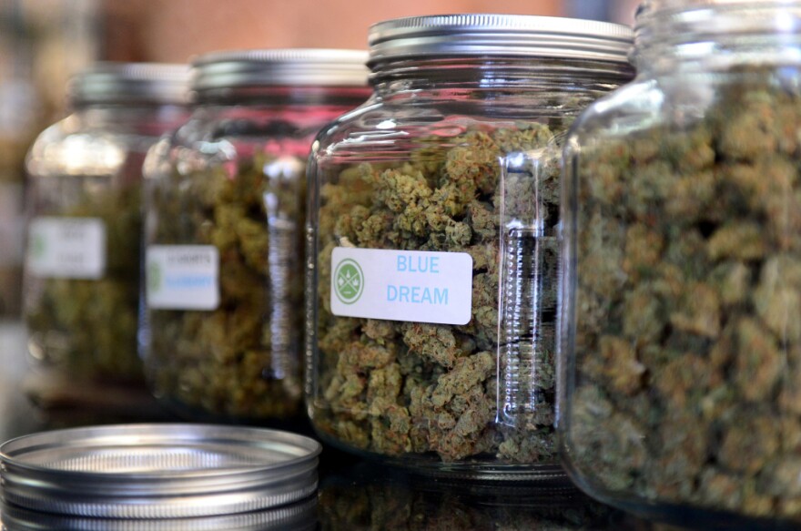 The highly rated variety of medical marijuana known as  "Blue Dream" was displayed among other strains at a cannabis farmers market in Los Angeles in 2014.