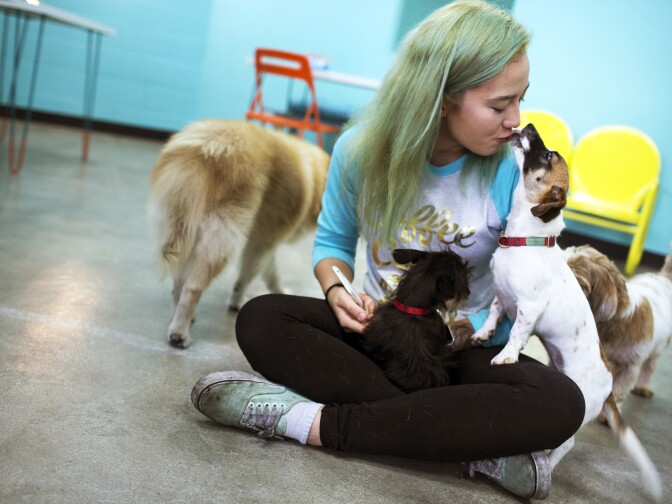 Sarah Wolfgang, owner of the Dog Cafe in Silver Lake, says the cafe format is a way to revolutionize how people come to meet and adopt dogs.