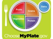The new food plate was released on June 2, 2011.
