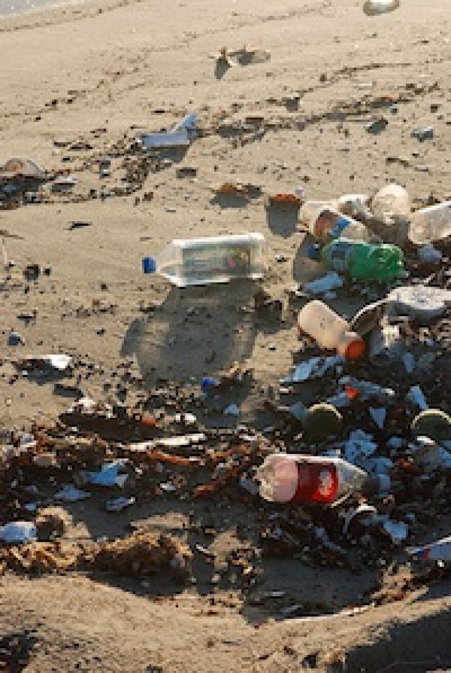 beach-mess-cleaning.jpg