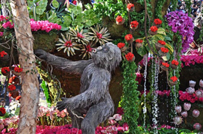 Rain Bird Corporation's "Mountaintop Majesty" 2010 Rose Parade float features an African rain forest, complete with 9 Mountain Gorillas made of Pharmitas grass, Spanish moss and black lichen.