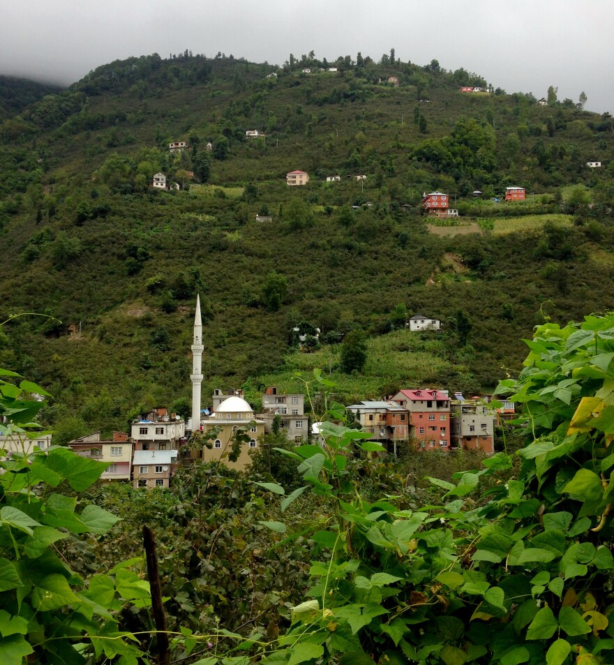 Steep hills surround the village of Kuskoy, high in the mountains above Turkey's Black Sea coast. Some villagers here can still understand the old "bird language," a form of whistled Turkish used to communicate across these deep valleys.