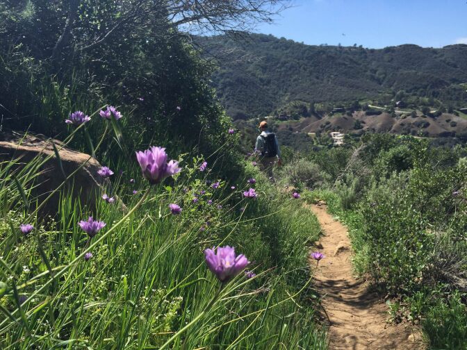 The Backbone Trail as it cross Saddle Peak in the Santa Monica Mountains National Recreation Area.