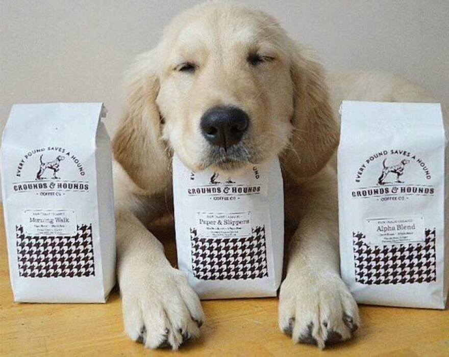dog_cafe.jpg