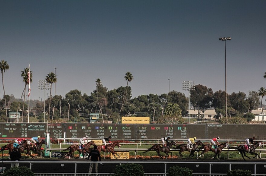hollywood-park-racetrack-horses.jpg