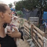 Homeless encampment resident Tammy Schuler kisses one of her pet dogs  beside a row of tents and tarps that line the Santa Ana River bicycle path, near Angel Stadium in Anaheim, California, January 25, 2018.  
People living along the riverbed recently learned they must pack their bags and move on, or risk arrest, but alternative housing options are limited. Urban development network CityNet says it has helped some 200 people get out of the street since July -- but the steady stream of new homeless people is relentless. / AFP PHOTO / Robyn Beck / TO GO WITH AFP STORY by Veronique DUPONT, "Faced with camp evacuation, California homeless live in fear"        (Photo credit should read ROBYN BECK/AFP/Getty Images)
