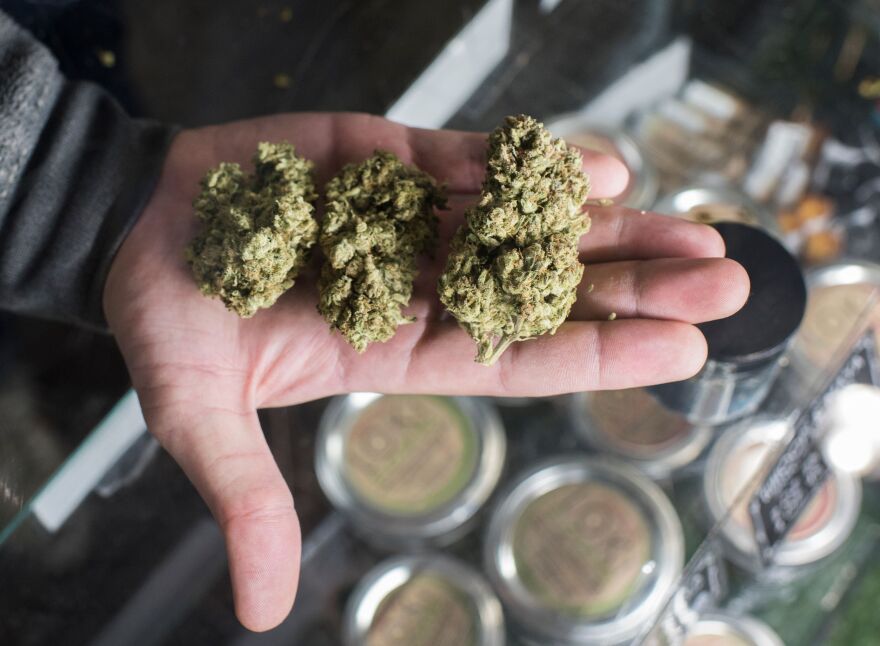 A budtender displays cannabis at the Higher Path medical marijuana dispensary in the San Fernando Valley area of Los Angeles, California, December 27, 2017.