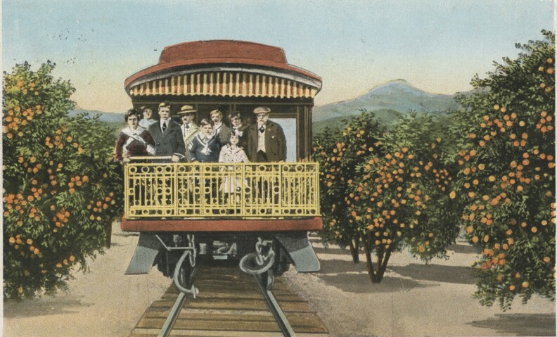 A photo of the back side of a train caboose as it rolls on tracks through an orange grove. A group of people stand on the balcony on the back of the caboose.