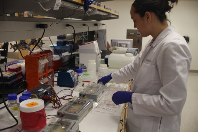 Research associate Sarah Wright uses a machine to help separate out different strands of DNA. She will later select the portions she wants to help create blueprints that will allow T cells to better target cancer.