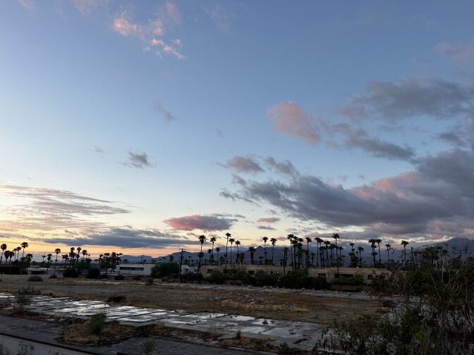 A serene sunrise with pink clouds, silouhetted palm trees and mountains in the far background. 
