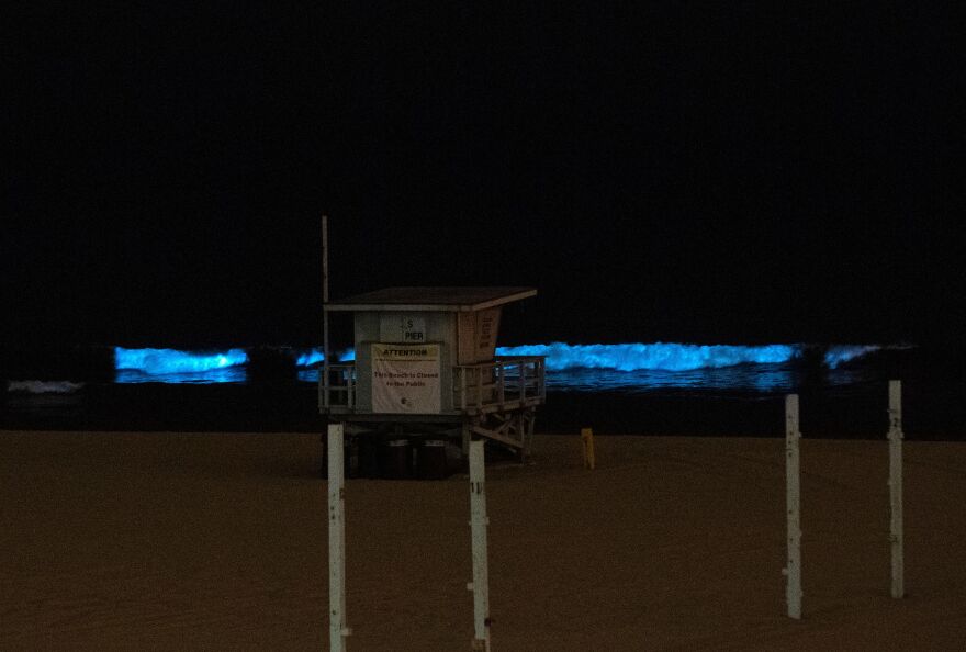 Blue waves glow at night as the tide rolls to shore on a beach with a lifeguard station.