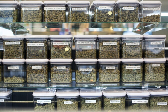 Kushmart, one of the largest medical dispensaries in downtown Los Angeles, currently has 55 strains of marijuana. In November, California voters could decide to make recreational marijuana use legal.