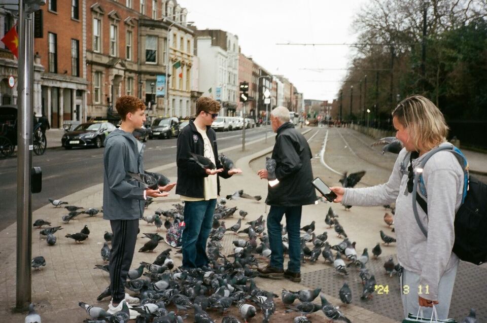A film photograph taken by one of our staff members. Pigeons surround a crowd of people.