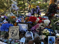 A memorial for an eagle named Jackie features flowers, flags, photos, pinecones and a sign reading "Queen Jackie 2012-2026."