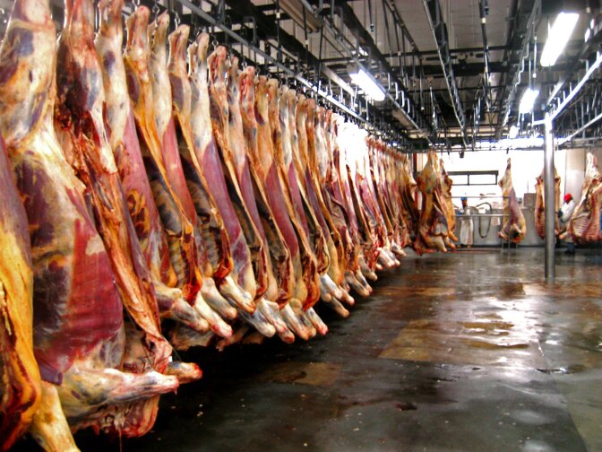 American Meat Packers in Chino, 2009