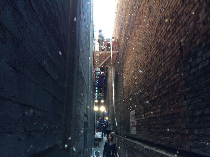 A scene from the anonymous art collective's installation, "Petal Drop LA."