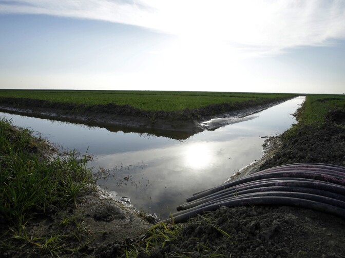 FILE - In this Feb. 25, 2016 file photo, water flows through an irrigation canal to crops near Lemoore, Calif.