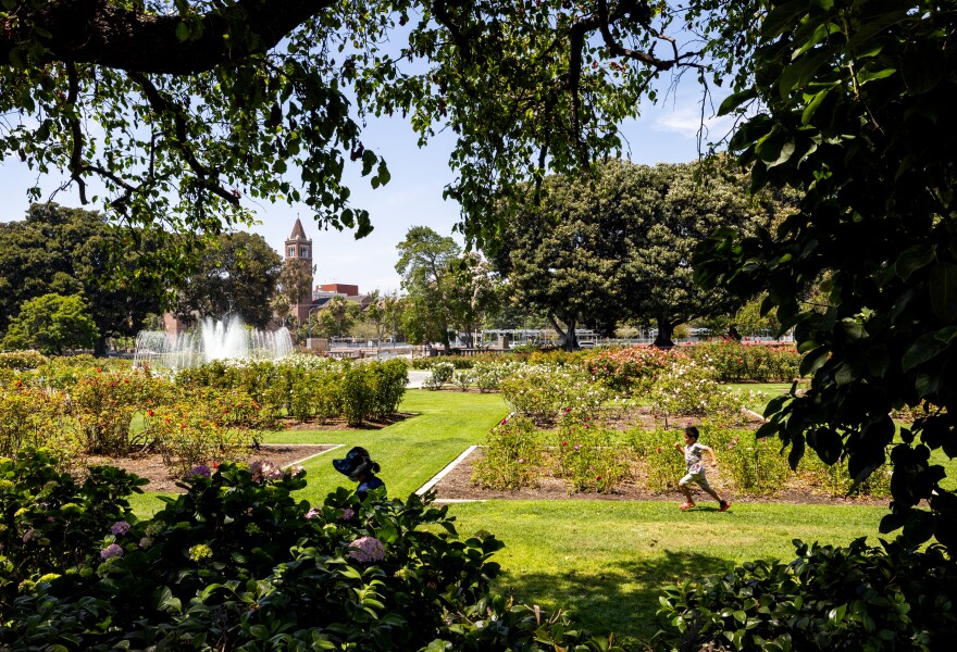 woman walks in the shade while a child runs in the grass through the scenic beauty of the Exposition Park Rose Garden on a warm day in Exposition Park in Los Angeles