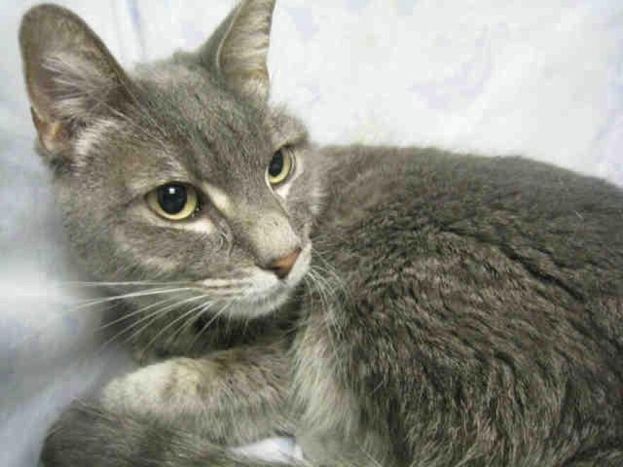 Betty-A0790807.jpg