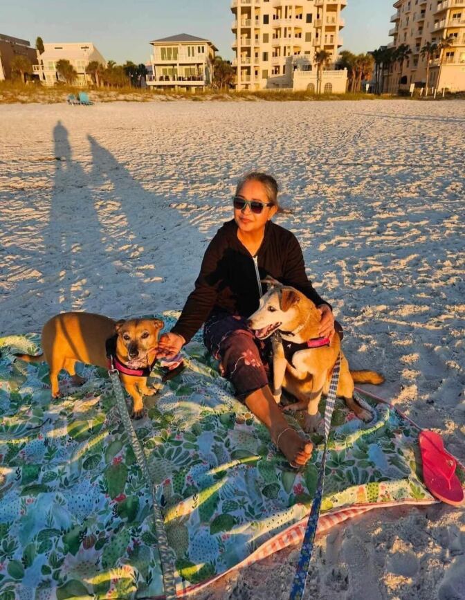 A South Asian woman sits on a blanket on the beach with two dogs. 