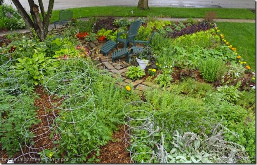 JuneFrontGarden_thumb.jpg