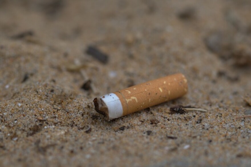 state-beaches-parks-smoking-ban-veto.jpg