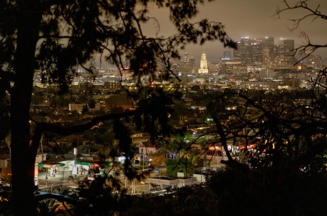 A view of a city scape at night seen through the branches and leaves of a group of trees.