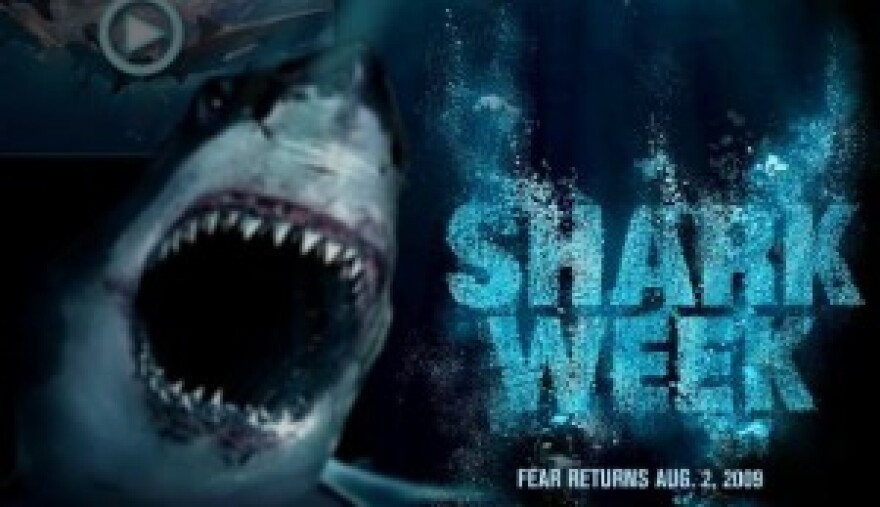 discovery-sharkweek-300x173.jpg