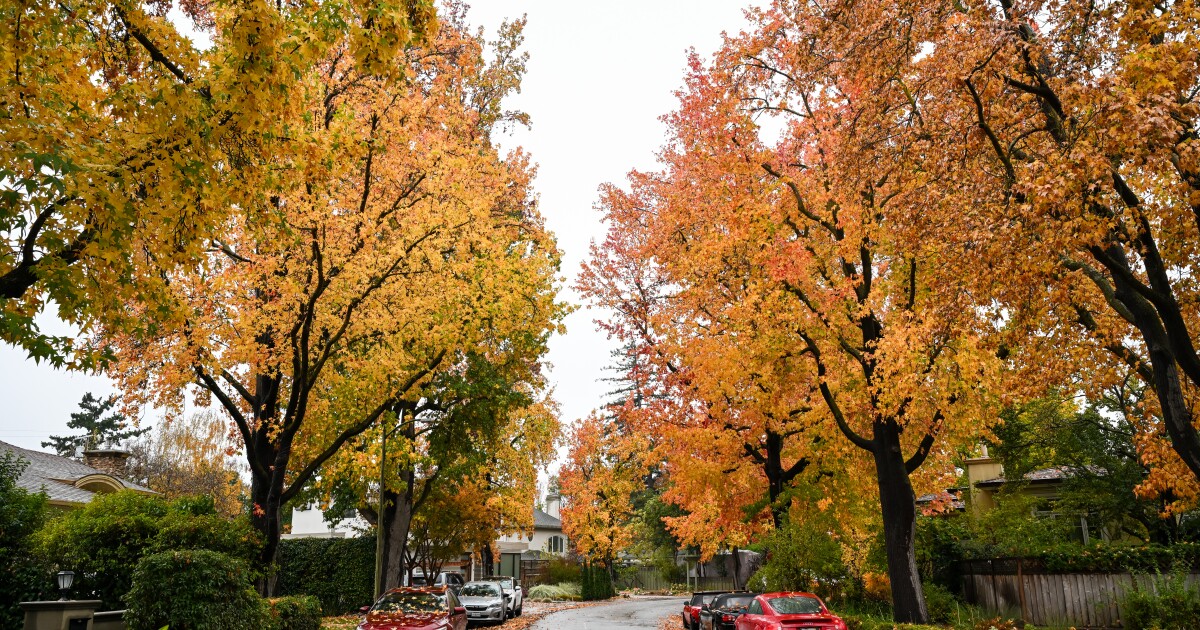 Why Climate Change is Causing Spookier, Hotter Halloweens: What You Need to Know Why Climate Change is Causing Spookier, Hotter Halloweens: What You Need to Know