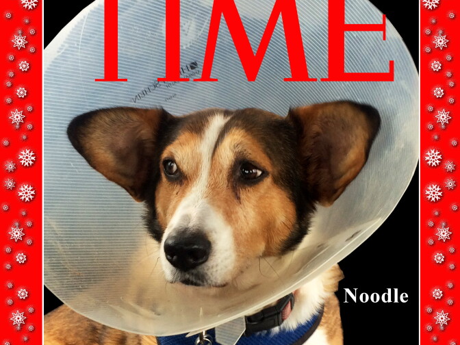Hilary Hattenbach's Time cover holiday card.
