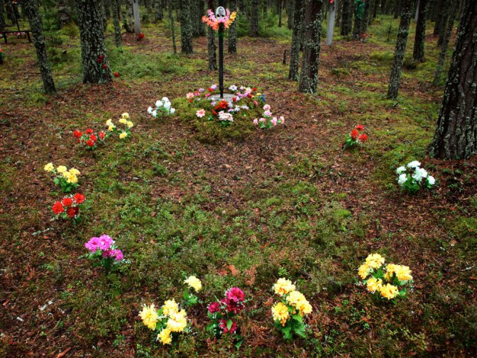 Plastic flowers mark a section of the mass graves at Sandarmokh, Russia, where thousands of Solovki  prisoners were killed and buried.  A forest was planted on top of them in hopes  that no one would ever find the graves.