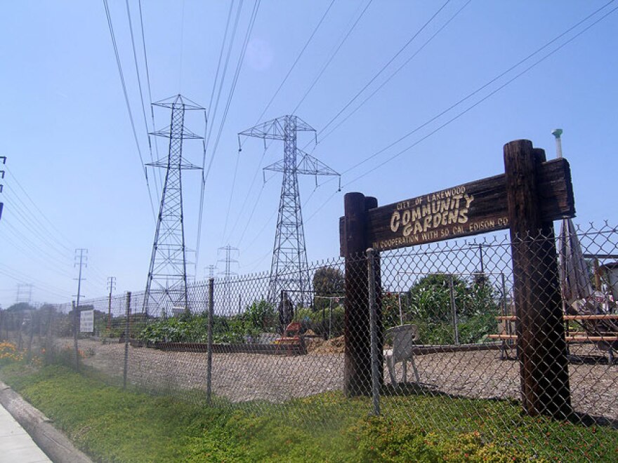 Lakewood_community_gardens.jpg