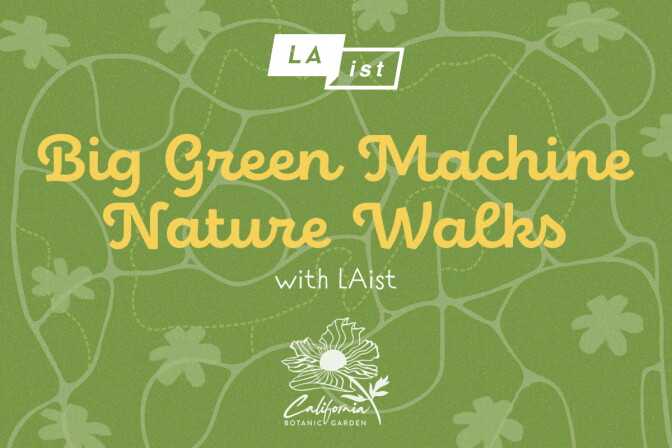An event graphic featuring the title "Big Green Machine Nature Walks with LAist" in a stylized, yellow cursive font against a textured, light green background. The top of the image features the "LAist" logo, and the bottom displays the logo for the "California Botanic Garden" featuring an illustration of a native flower. The background includes faint outlines of leaves and scattered starburst motifs.