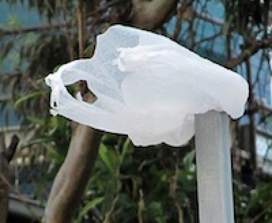 plastic-bag-pole.jpg