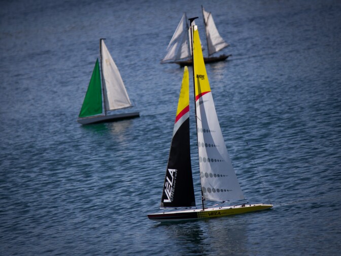 The Echo Park Yacht Club sails model boats in Echo Park Lake on June 15, 2013.