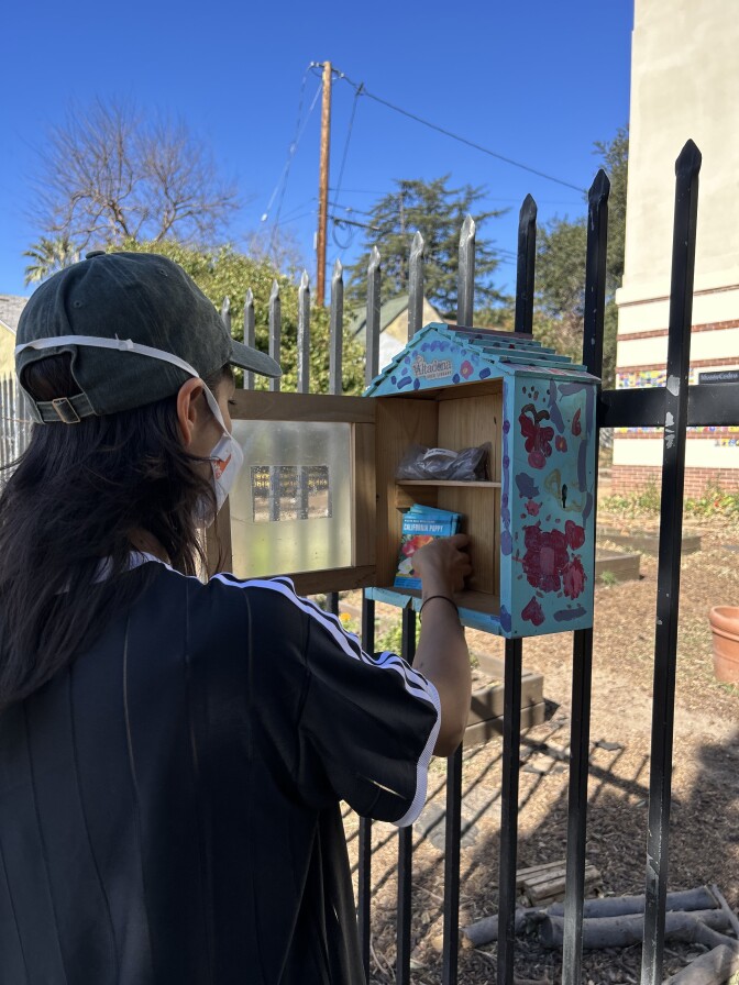 A woman wearing a muted green baseball cap, a white face mask, and a black t-shirt is placing packets of seed into a blue, pink, and purple wooden box affixed to a black metal fence.