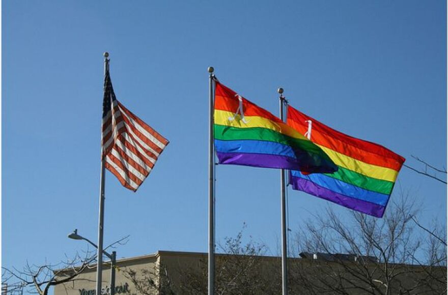rainbow_flags.jpg