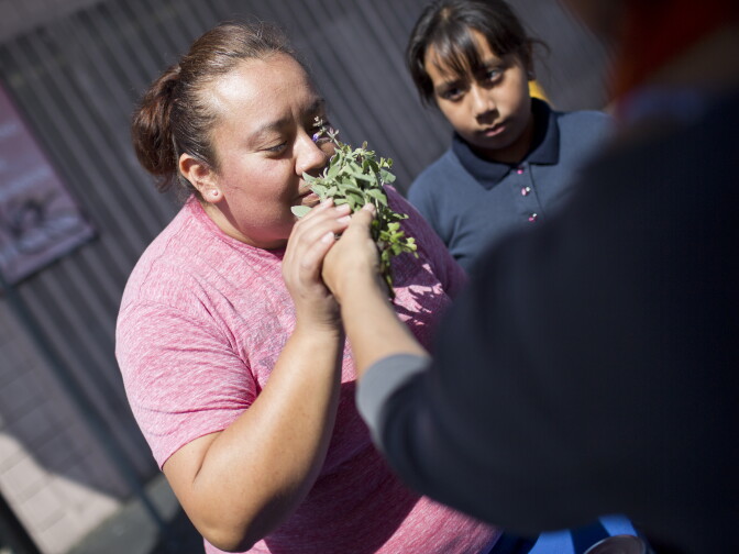 Mary Muñoz, left, and her daughter, Melanie Muñoz, smell fresh herbs grown at one of Community Services Unlimited's five mini-urban farm sites.