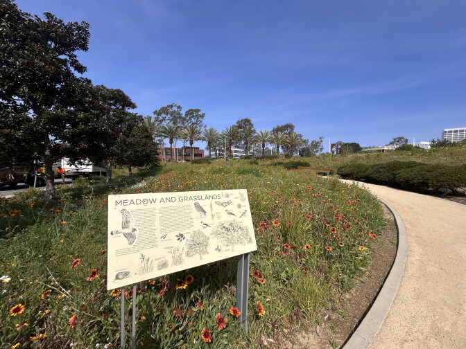 A sign reading 'Meadow and Grasslands' stands beside a wildflower field with a path and palm trees in the background.