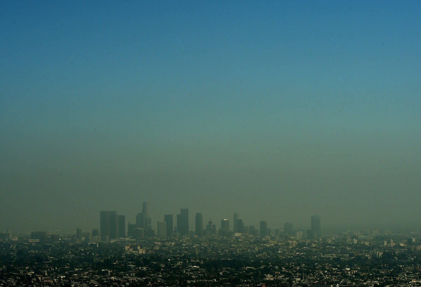 A view of the Los Angeles city skyline as heavy smog shrouds the city in California on May 31, 2015.           AFP PHOTO/ MARK RALSTON        (Photo credit should read MARK RALSTON/AFP/Getty Images)