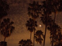LOS ANGELES, CA - SEPTEMBER 27: An eclipsed supermoon is shown on September 27, 2015 in Los Angeles, California. A supermoon occurs when a full moon coincides with its perigee, which is its closest approach to the Earth. A total lunar eclipse and a supermoon won't occur together again until 2033. (Photo by Christopher Polk/Getty Images)