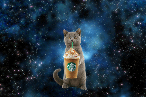 5b2c3d564488b30009274a4f-original.gif
