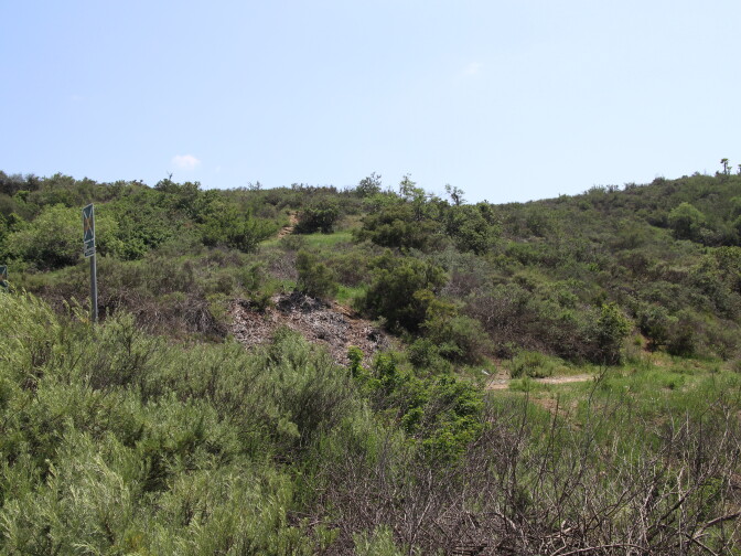 This picture, taken on April 22, 2014, shows that late spring rains, though meager, helped transform Griffith Park into a much greener space. 