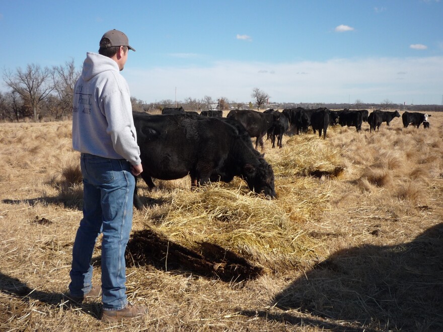 Rancher Grant Green raises a few hundred head of cattle in Wellston, Okla. Thieves have stolen his cows several times.