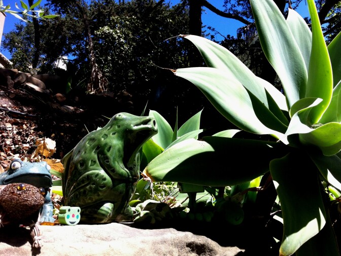The Santa Barbara Frog Shrine, on Paterna Road, in the Riviera neighborhood.