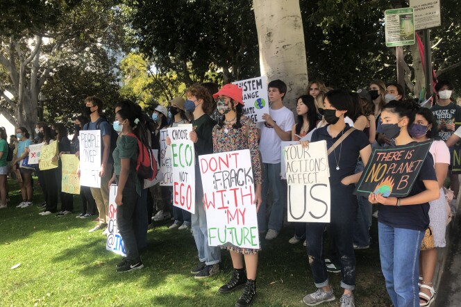 Young people stand on a lawn holding signs at a rally for climate action. 