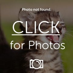 5b2c6a5b4488b30009285f14-original.jpg